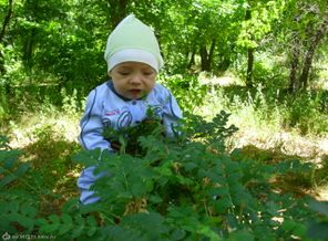 гуляю в парке