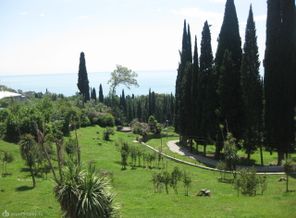 IMG_1692