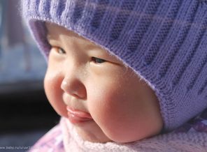 IMG_8524
