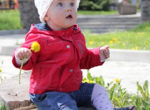IMG_8810