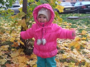 20141017_120101