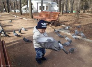 SAM_1053