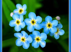 0_2604f_d8b14bee_XL