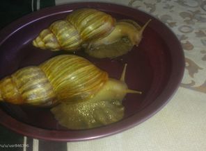 Зверье мое :)