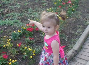 DSC00069