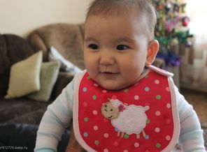 IMG_8546