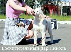 CYMERA_20140607_233358