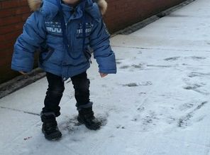 Первый и последний снег в Голландии