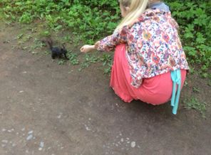 image1400487496.339554