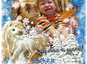 263266451308_784f40f20598083afae50c5bbe046a9e