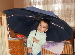 ноябрь 2013 243