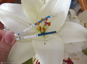 DSCF2926