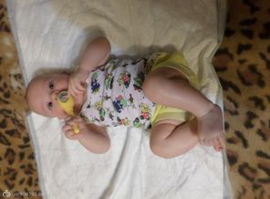 SAM_0449