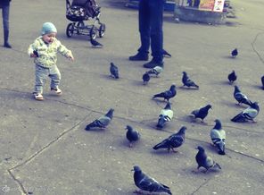 Только пошёл)))