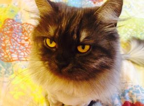image1412782209.900137