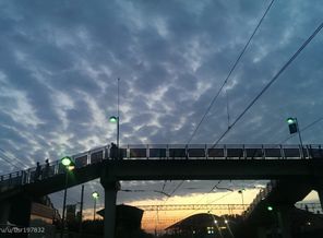 IMAG2298