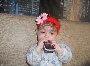 DSCN2754