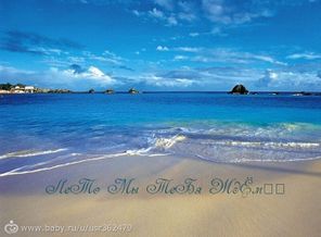 images_5408