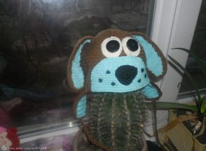 SAM_2828