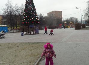 возле елочки