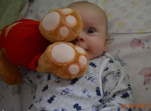 Медвежонок на Медвежонке :-)