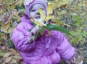 прогулка в осеннем лесу
