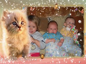 Две плимянице и мой
