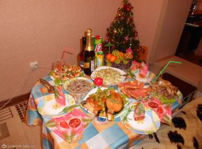 DSCN5488