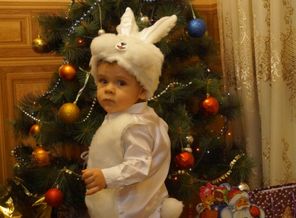 Новогодний зайка