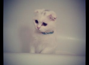 IMG_20130412_103951