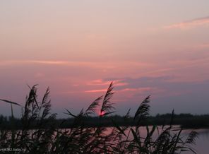 IMG_0889