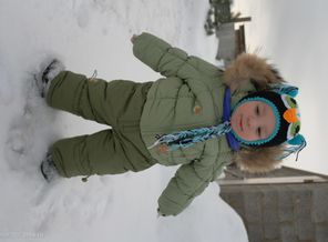 SAM_6993