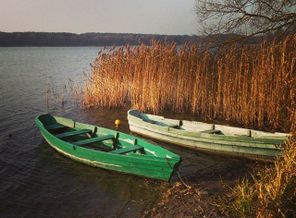 Сегодня день плоскодонок.