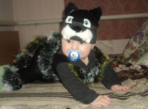 Мой кот учёный!!!