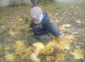 золотая осень