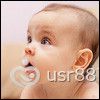 IMG_2842p