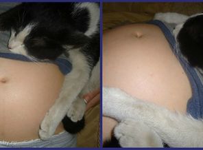 пузик и котик