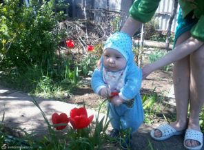2014-04-26 14.22.47