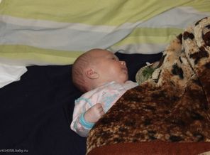 IMG_0429