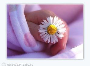 994d18e707b3497269d7453197db83af5fdc2b57474024