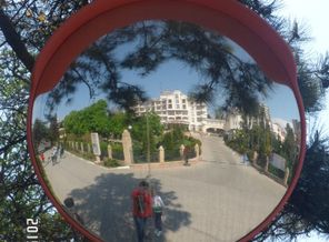 SAM_8363