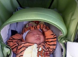 IMG_20130802_194957