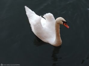 DSCN2075