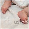 IMG_2849p