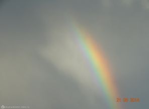 DSC00033