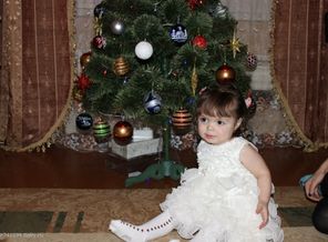 Новый 2013 год