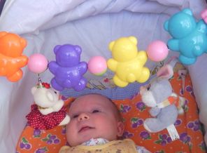 IMG_20150206_120006