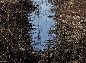 IMG_0537