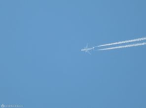 DSCN1264