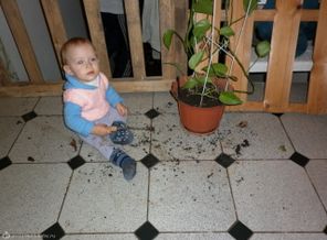 ...и у мамы возникла мысль,что цветы и впрямь  пора пересаживать.